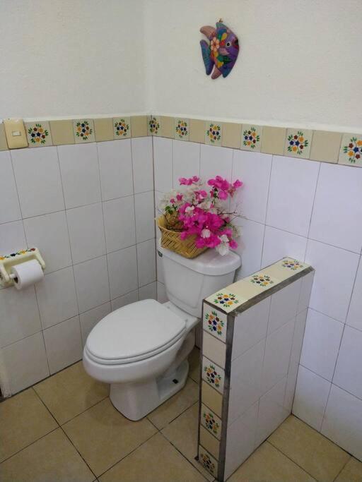 Lush Garden House Near Beaches With Private Pool. Puerto Escondido (Oaxaca) Exterior foto
